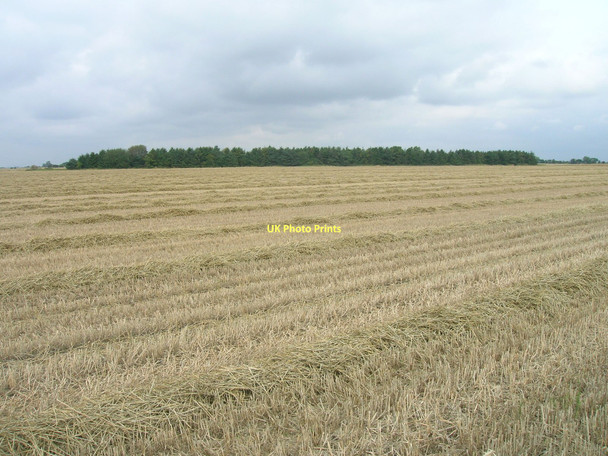 Photo 6"x4" Farmland north of Garthorpe Adlingfleet c2011