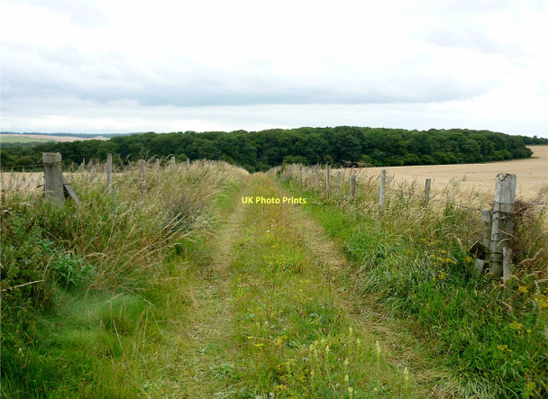Photo 6"x4" Track to The Warren East Ilsley c2011