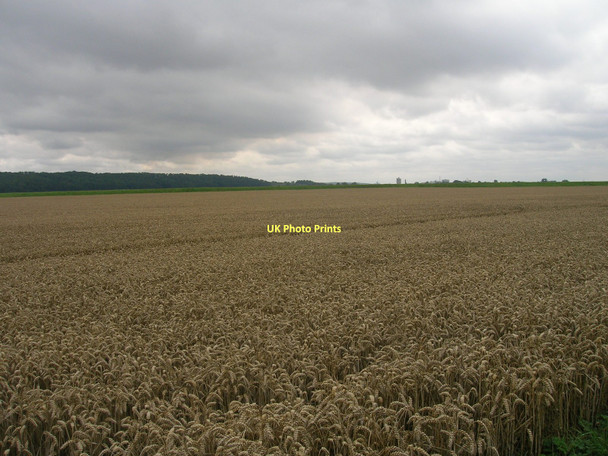 Photo 6"x4" Farmland near Waterton Hall Burton Stather c2011