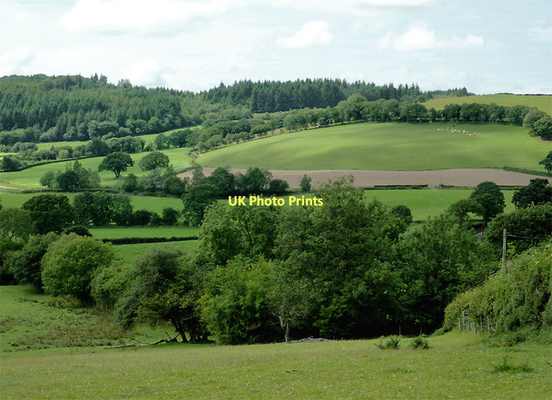 Photo 6"x4" Farmland near Olmarch, Ceredigion Cockshead c2011