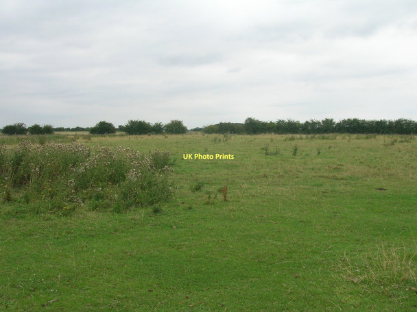 Photo 6"x4" Grazing land, West Field Adlingfleet c2011