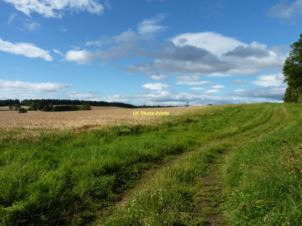 Photo 6"x4" Field track Redgorton c2011