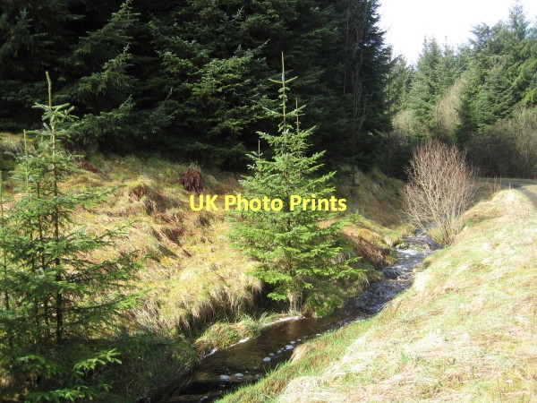 Photo 6"x4" Swineshaw Burn below Watson's Walls Watson's Walls c2011