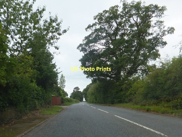 Photo 6"x4" Former A30 west of Fairmile Coombelake c2011