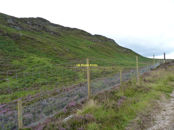 Photo 6"x4" New fence Little Glenshee c2011