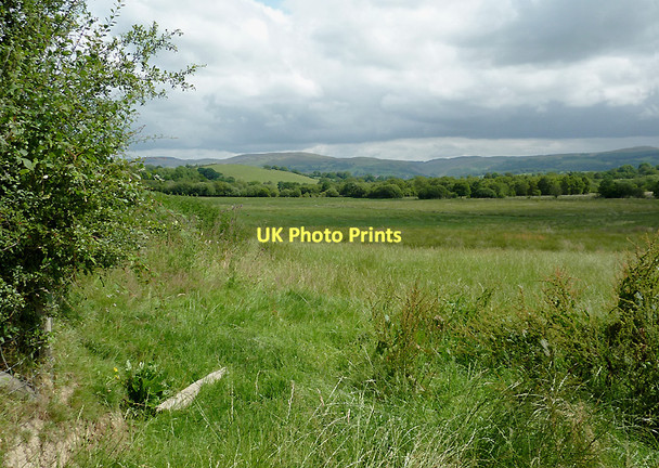 Photo 6"x4" Rough grazing east of Comins Capel Betws, Ceredigion Llanio c2011