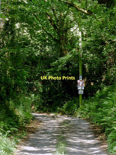 Photo 6"x4" Farm road east of Comins Capel Betws, Ceredigion Llanio c2011 P1