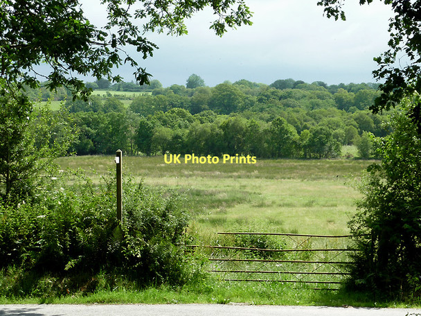 Photo 6"x4" Rough grassland east of Comins Capel Betws, Ceredigion Llanio c2011