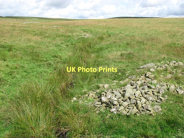 Photo 6"x4" Spot the burn Blythe c2011