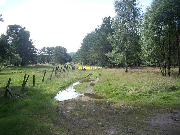 Photo 6"x4" A farm track after rain Strachan c2011