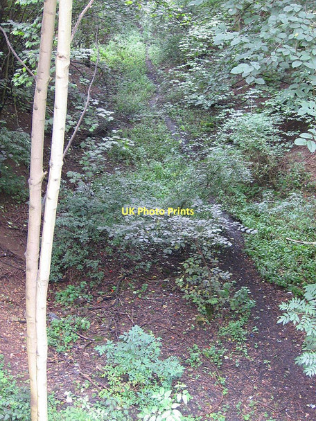 Photo 6"x4" Along the cutting of the dismantled railway Norton-on-Derwent c2011