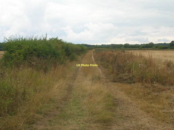 Photo 6"x4" Farm track off New Road Firbeck c2011