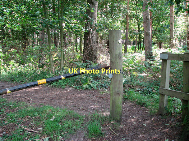 Photo 6"x4" Path to Dunwich village Dunwich c2011
