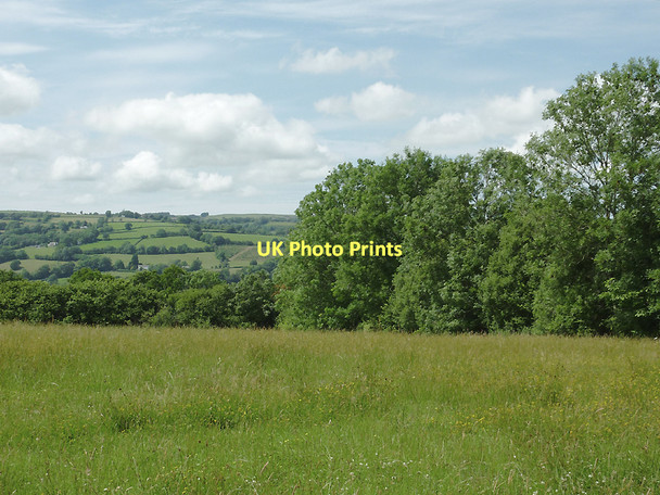 Photo 6"x4" Pasture east of  Capel Betws Lleucu, Ceredigion Capel Betws Lleucu c2011