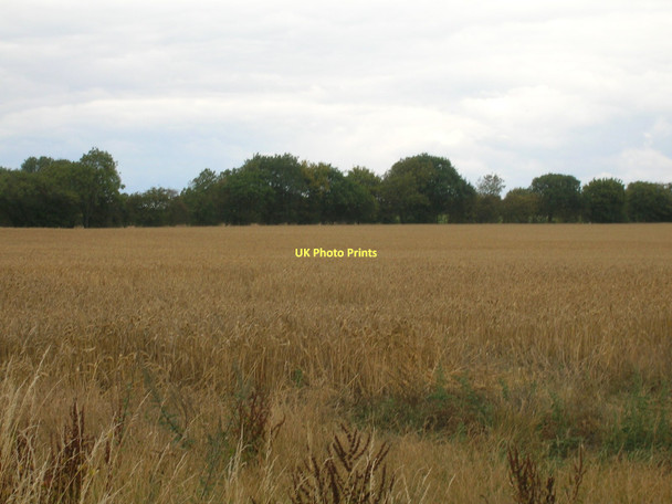 Photo 6"x4" Farmland of Hirst Lane Stainton\/SK5593 c2011
