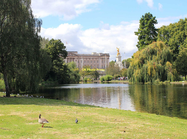 Photo 6"x4" St James's Park Lake Westminster c2011