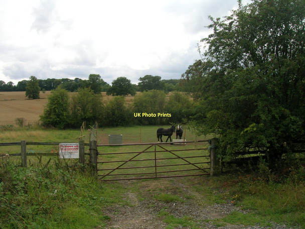 Photo 6"x4" Field entrance off White Cross Lane Loversall c2011