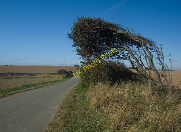 Photo 6"x4" Hogsea Lane, near Hilston Hilston c2009