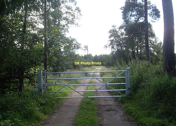 Photo 6"x4" Track to Mains of Potarch (2011) Marywell\/NO5896 c2011