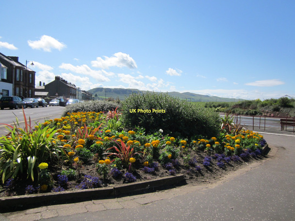 Photo 6"x4" Flower Garden Girvan c2011