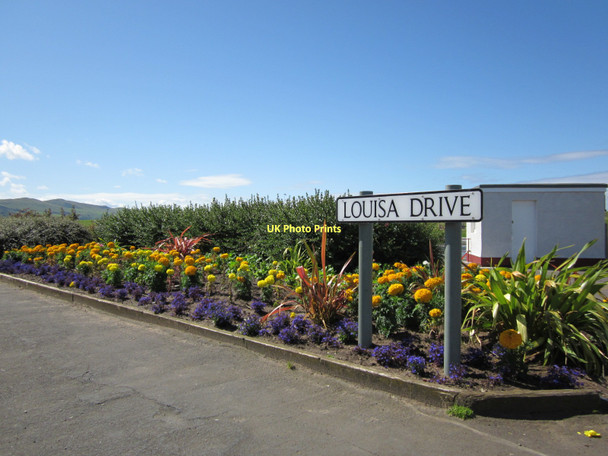 Photo 6"x4" Flower Garden Girvan c2011 P1