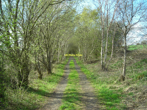 Photo 6"x4" Former railway track (in spring) Sutton In Ashfield c2011