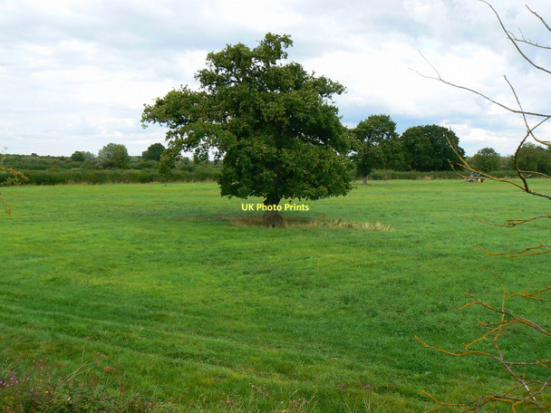 Photo 6"x4" The northern end of the Swindon and Cricklade Railway, Hayes Knoll Cricklade c2011