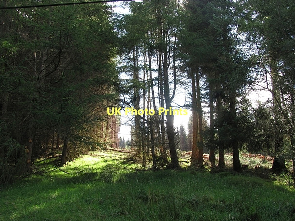 Photo 6"x4" Clear felled area Killin\/NN5732 c2011