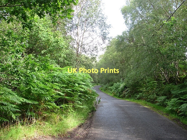 Photo 6"x4" South Loch Tay Road Milton Morenish c2011