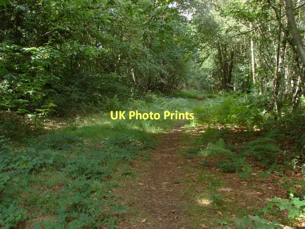 Photo 6"x4" Pirbright Range Camberley c2011