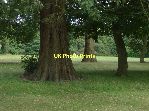 Photo 6"x4" Heatherside recreation ground. Camberley c2011