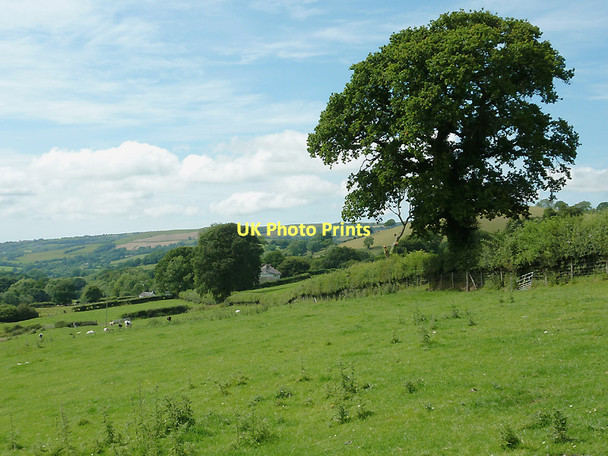 Photo 6"x4" Pasture west of Llwyn-y-Groes, Ceredigion Llwyn-y-groes\/SN5956 c2011