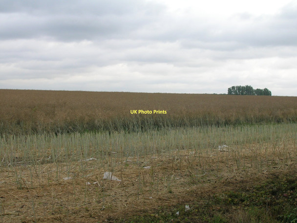Photo 6"x4" Farmland off Rakes Lane Loversall c2011