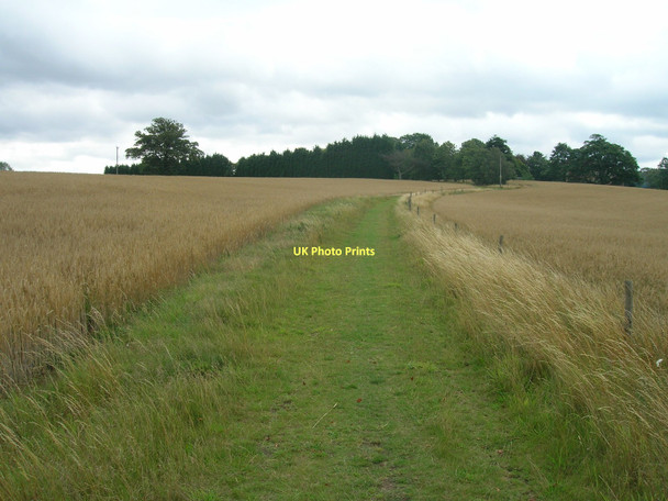 Photo 6"x4" Track towards the Northern Racing College Littleworth\/SK6298 c2011