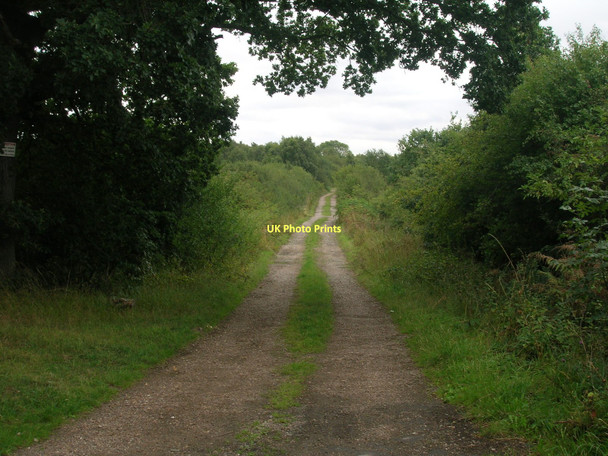 Photo 6"x4" Farm track (footpath) off Hurst Lane Hay Field c2011