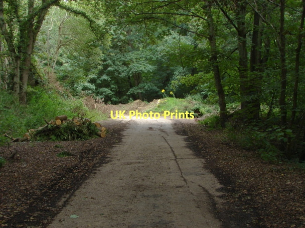 Photo 6"x4" Military road, Deepcut Frimley c2011