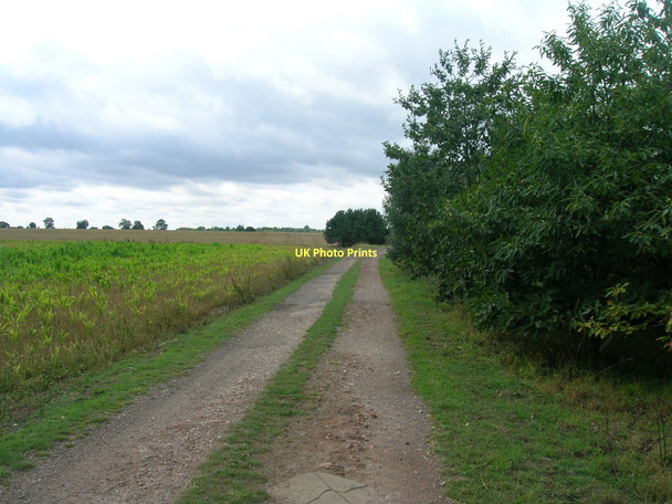 Photo 6"x4" Farm track towards High Common Lane Hay Field c2011
