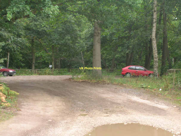 Photo 6"x4" Kings Wood car park Austerfield c2011