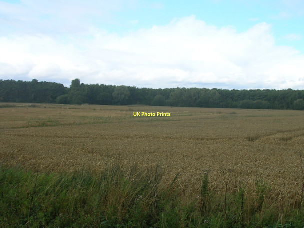 Photo 6"x4" Farmland off Sheepwash Lane Spital Hill\/SK6193 c2011