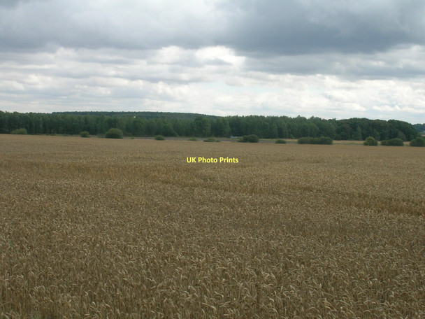 Photo 6"x4" Farmland off Stancil Lane New Rossington c2011