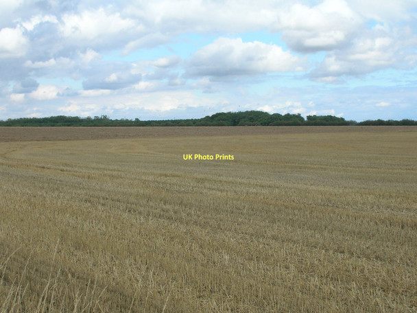 Photo 6"x4" Farmland near Tickhill Grange Spital Hill\/SK6193 c2011