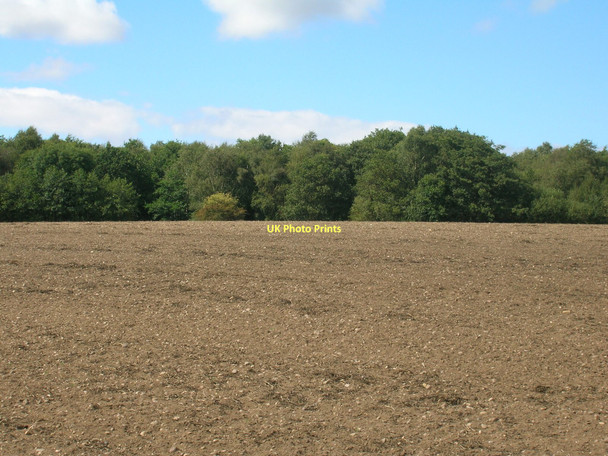 Photo 6"x4" Farmland near Bircotes Bircotes c2011