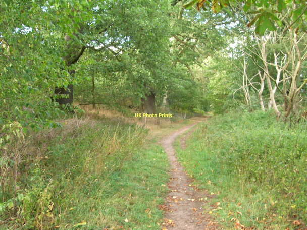 Photo 6"x4" Bridleway heading north Serlby c2011