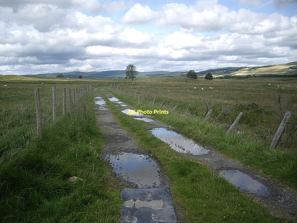 Photo 6"x4" Track to Balblythe Strachan c2011