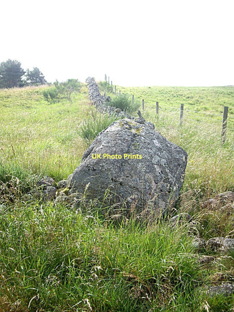 Photo 6"x4" Glacial boulder in a dry stone wall Strachan c2011