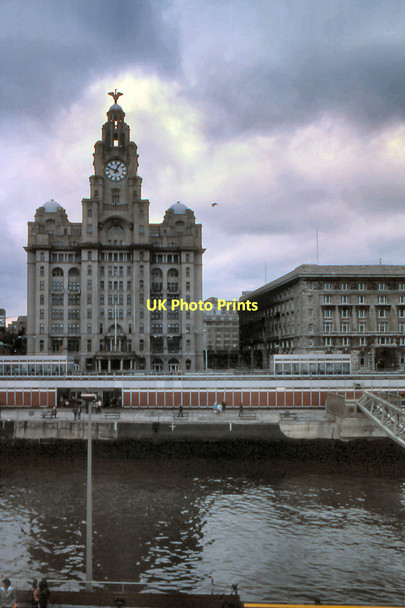 Photo 6"x4" Liverpool, Royal Liver Building Seacombe c1979