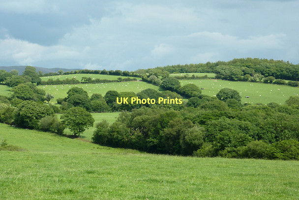 Photo 6"x4" Farmland west of Cockshead, Ceredigion Cockshead c2011