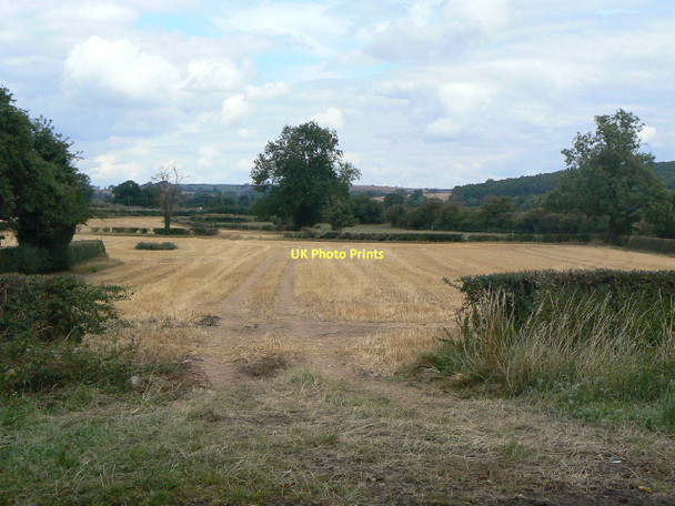 Photo 6"x4" Stubble field Calverton\/SK6149 c2011