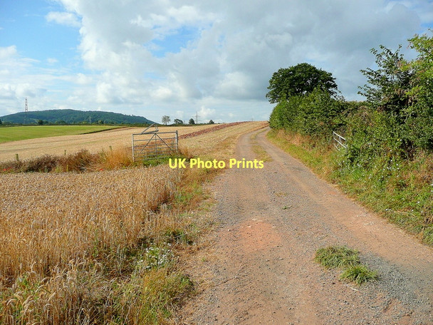 Photo 6"x4" Farm track and footpath Bromsash c2011