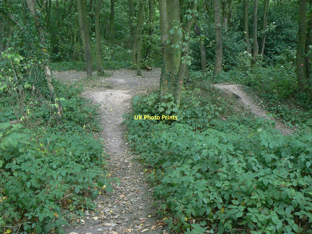 Photo 6"x4" Earthwork in Fox Wood Calverton\/SK6149 c2011
